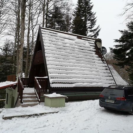 Koca Planika, Sviscaki Vila Ilirska Bistrica Exterior foto