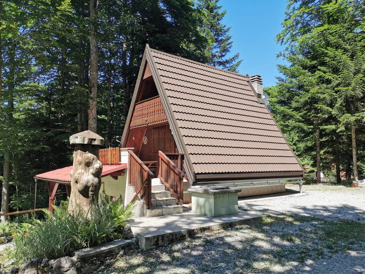 Koca Planika, Sviscaki Vila Ilirska Bistrica Exterior foto