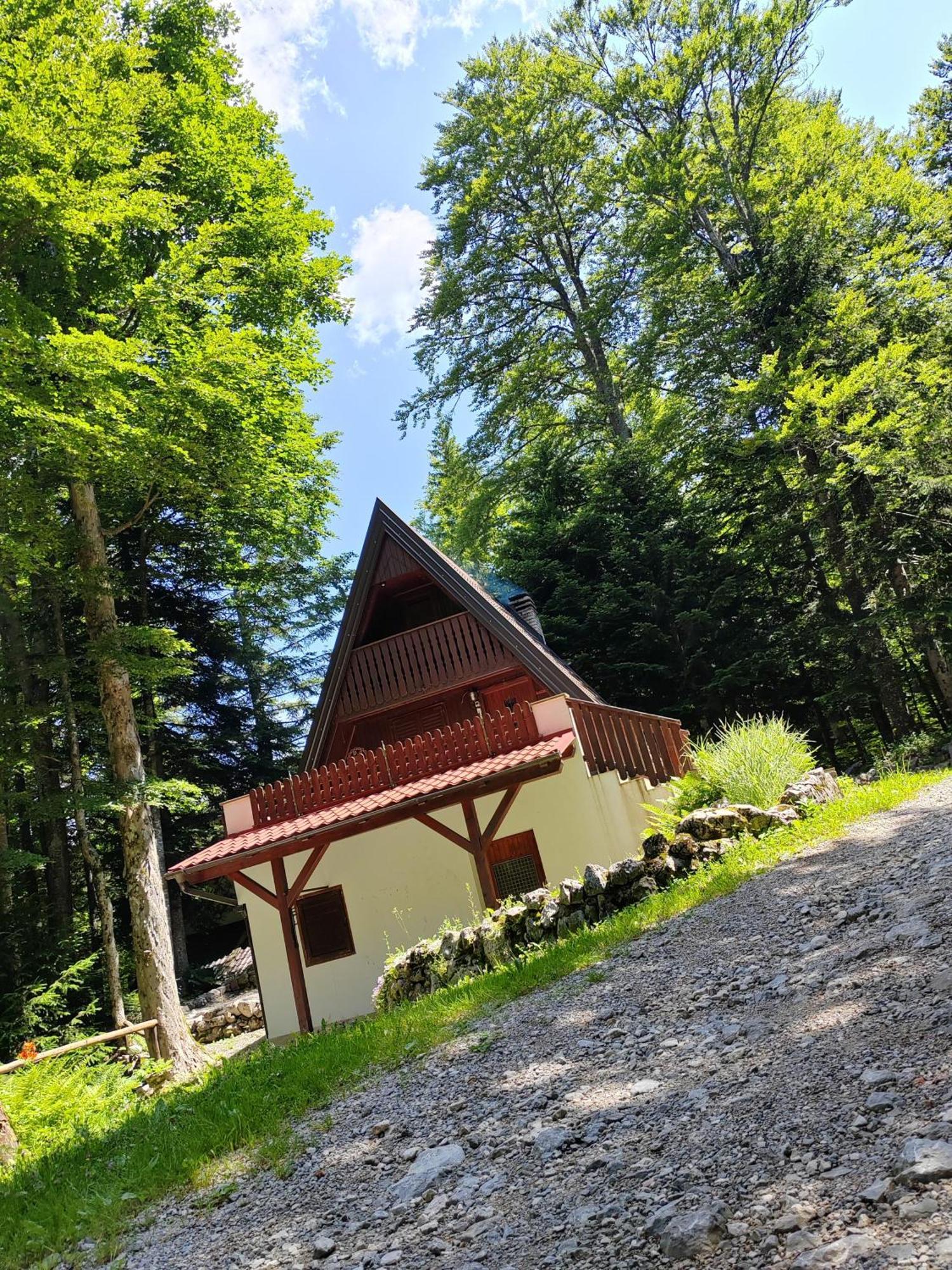Koca Planika, Sviscaki Vila Ilirska Bistrica Exterior foto