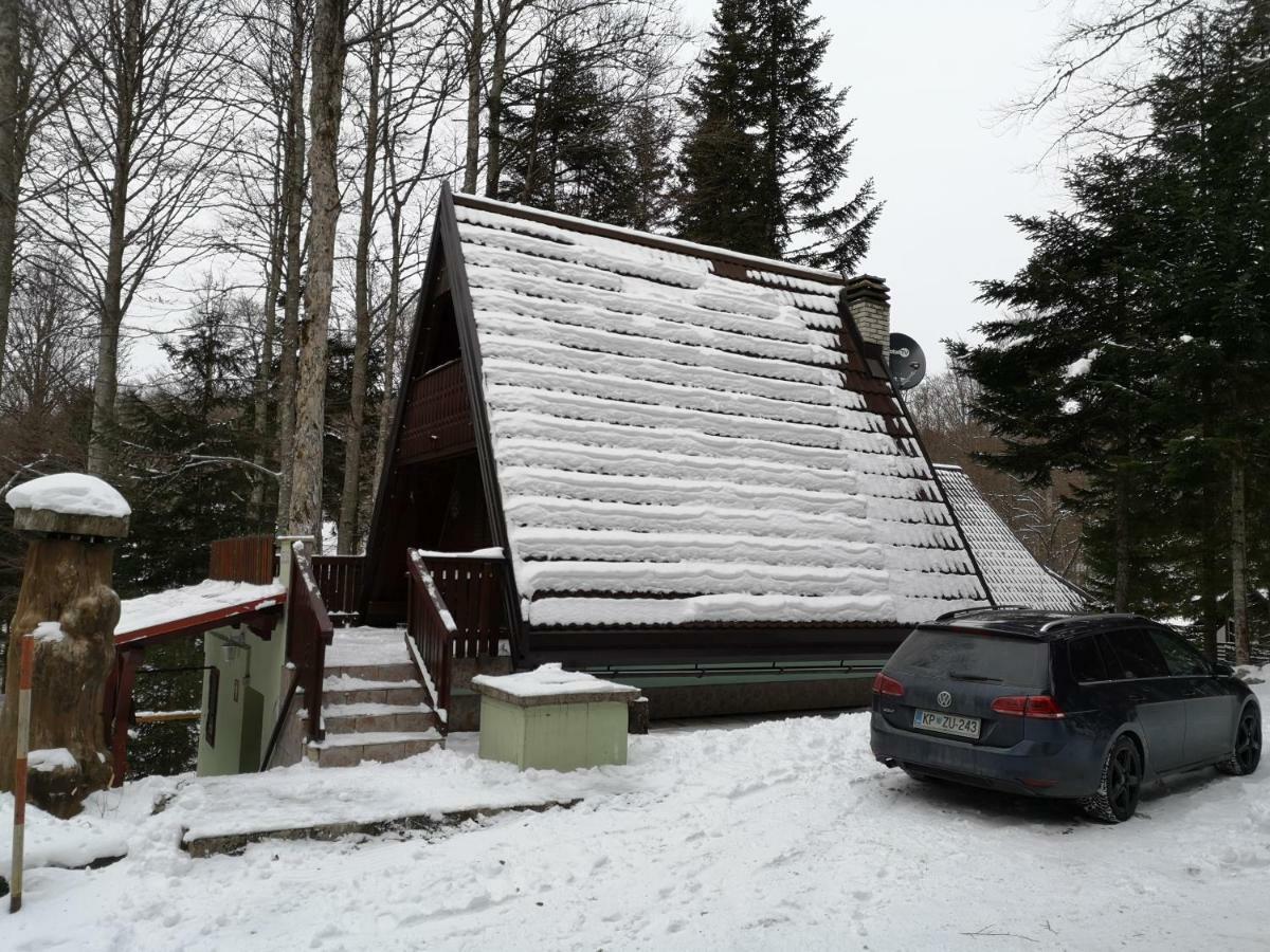 Koca Planika, Sviscaki Vila Ilirska Bistrica Exterior foto